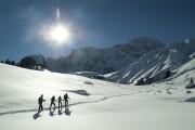 Alpina Dolomites